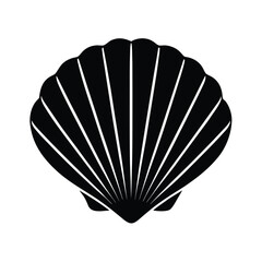 Sailor element isolated seashell on white background