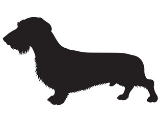 WIREHAIRED DACHSHUND DOG SILHOUETTE