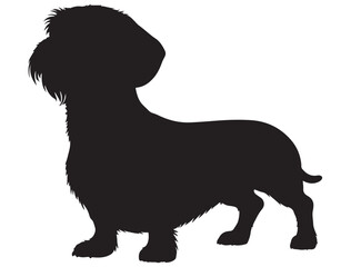 WIREHAIRED DACHSHUND DOG SILHOUETTE