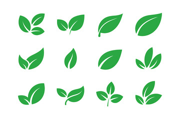Set of 12 minimalist green leaf icons natural organic eco-friendly design elements vector