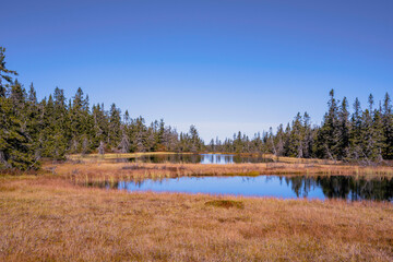 Toputta Lakes from the Svartdalstjerna Primeval Forest Nature Reserve of the Totenåsen Hills, Norway, in September 2025.