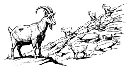 Wild Mountain Goats on a Rocky Cliff Illustration