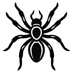 tarantula vector icon