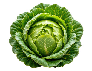 Obraz premium Fresh Green Cabbage with Lush Leaves and Intricate Details
