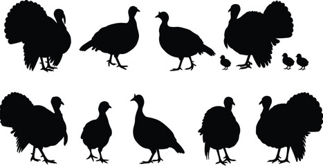 Turkey silhouette collection, wild turkey bird shapes, farm animal illustration, poultry wildlife design, black turkey outline, Thanksgiving symbol, bird silhouettes