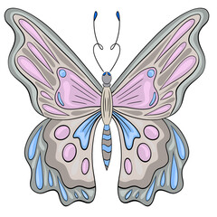 Brightly colored butterfly resting gracefully with intricate details on its wings in a whimsical, artistic illustration style, pink, grey, and blue coloring.