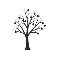 Silhouette of leafless tree with few remaining leaves on branches