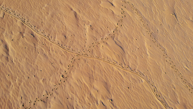 Sandy desert landscape with footprints and tire tracks dunes