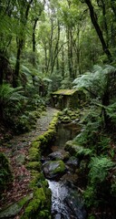 Obraz premium A mossy stone path winds through a lush, green forest, flowing beside a small stream.