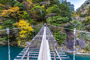Autumn scenery of the Dream Suspension Bridge in Sumata Gorge, Shizuoka Prefecture