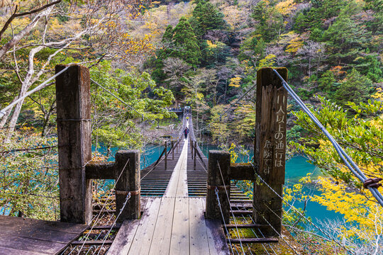 Autumn scenery of the Dream Suspension Bridge in Sumata Gorge, Shizuoka Prefecture