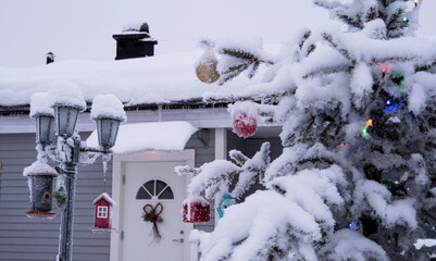Christmas covered with a snow, decoration in a Christmas