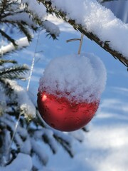 Decorated Christmas tree covered with snow