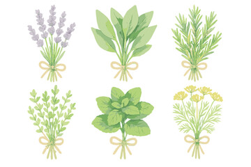 Assortment of fresh aromatic culinary herbs and medicinal plants tied in bundles for cooking and aromatherapy purposes