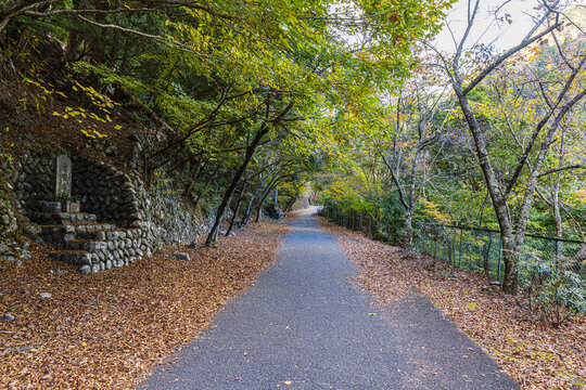 Autumn scenery of Sumata Gorge, Shizuoka Prefecture