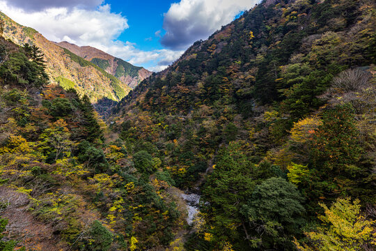 Autumn scenery of Sumata Gorge, Shizuoka Prefecture