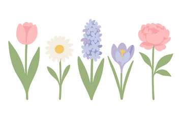 Fototapeta premium Vibrant collection of colorful spring flowers including tulip, daisy, hyacinth, crocus, and peony blossoms with green leaves
