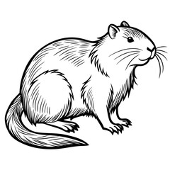 Fototapeta premium Black and white groundhog vector illustration for design projects