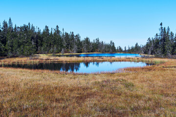 Toputta Lakes from the Svartdalstjerna Primeval Forest Nature Reserve of the Totenåsen Hills, Norway, in September 2025.