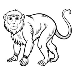 Cartoon monkey illustration line art, standing in side view