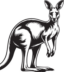 bold line art kangaroo vector illustration detailed anatomy australian marsupial black and white ai eps png