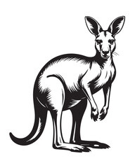 anatomical kangaroo silhouette bold shading wildlife vector illustration perfect for logos posters and prints