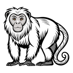 Cartoon style white monkey isolated on a white backdrop