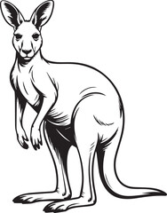 kangaroo line art vector realistic standing marsupial illustration for wildlife design
