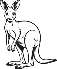 australian kangaroo black and white line drawing vector strong tail large feet pose
