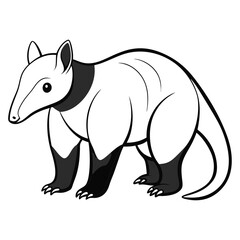 Cartoon Tamandua illustration against a white background in profile