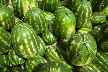 Fresh ripe watermelons piled together at an outdoor market. Bright green striped skin glistens under natural sunlight, creating a vibrant summer background