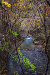 もみじ湖の散策