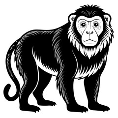 Black and white monkey vector illustration with detailed fur