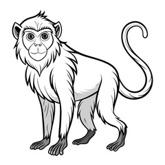 Black and White Monkey Vector Illustration on White Background