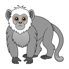Cartoon silvery marmoset monkey illustration in a full body view