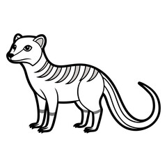 Cartoon Banded Mongoose Standing, Isolated Vector Illustration on White