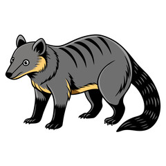 Cartoon image of a striped civet on white background