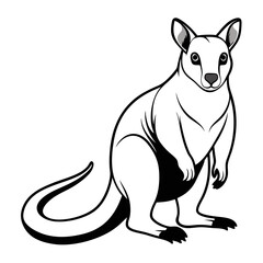 Stylized kangaroo illustration standing on white background looking forward