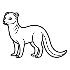 Cartoon Mongoose Illustration Standing on White Background Vector