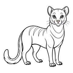 Cartoon outlined mountain lion illustration on a white backdrop