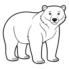 Cartoon polar bear illustration standing isolated on white background