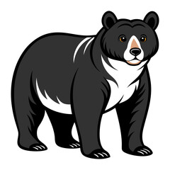 Spectacled Bear Illustration on White Background Vector Graphic Image