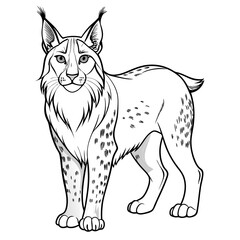 Detailed Black and White Lynx Line Art Illustration