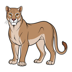 Illustrated Cougar Standing Isolated Against White Background Graphic