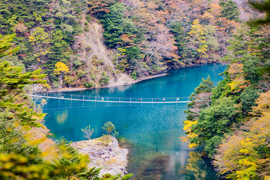 Autumn scenery of the Dream Suspension Bridge in Sumata Gorge, Shizuoka Prefecture