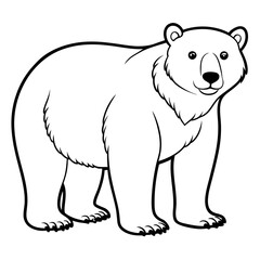 Polar bear line drawing illustration stock image design art