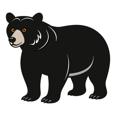 Black bear standing isolated on white background illustration