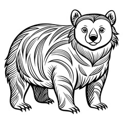 Stylized bear illustration with detailed line work on white