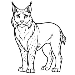 Detailed line art illustration of lynx on white background