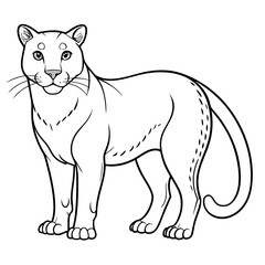 Cartoon cougar outline illustration on white background, animal wildlife